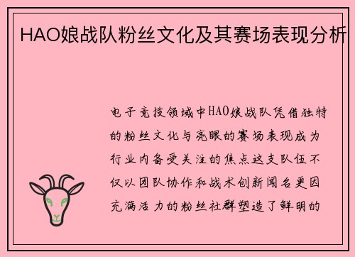 HAO娘战队粉丝文化及其赛场表现分析